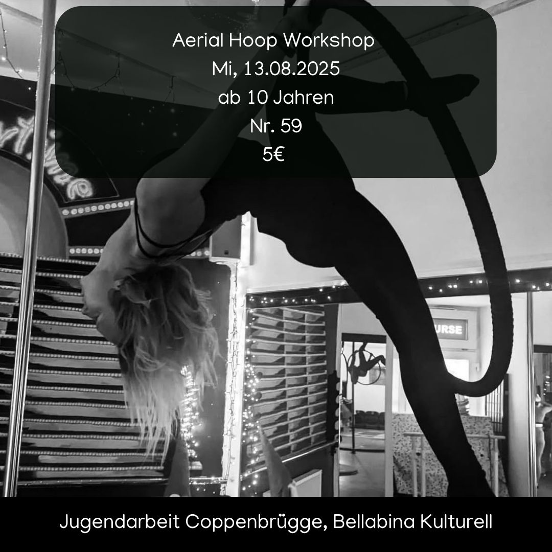 Aerial Hoop Workshop  image