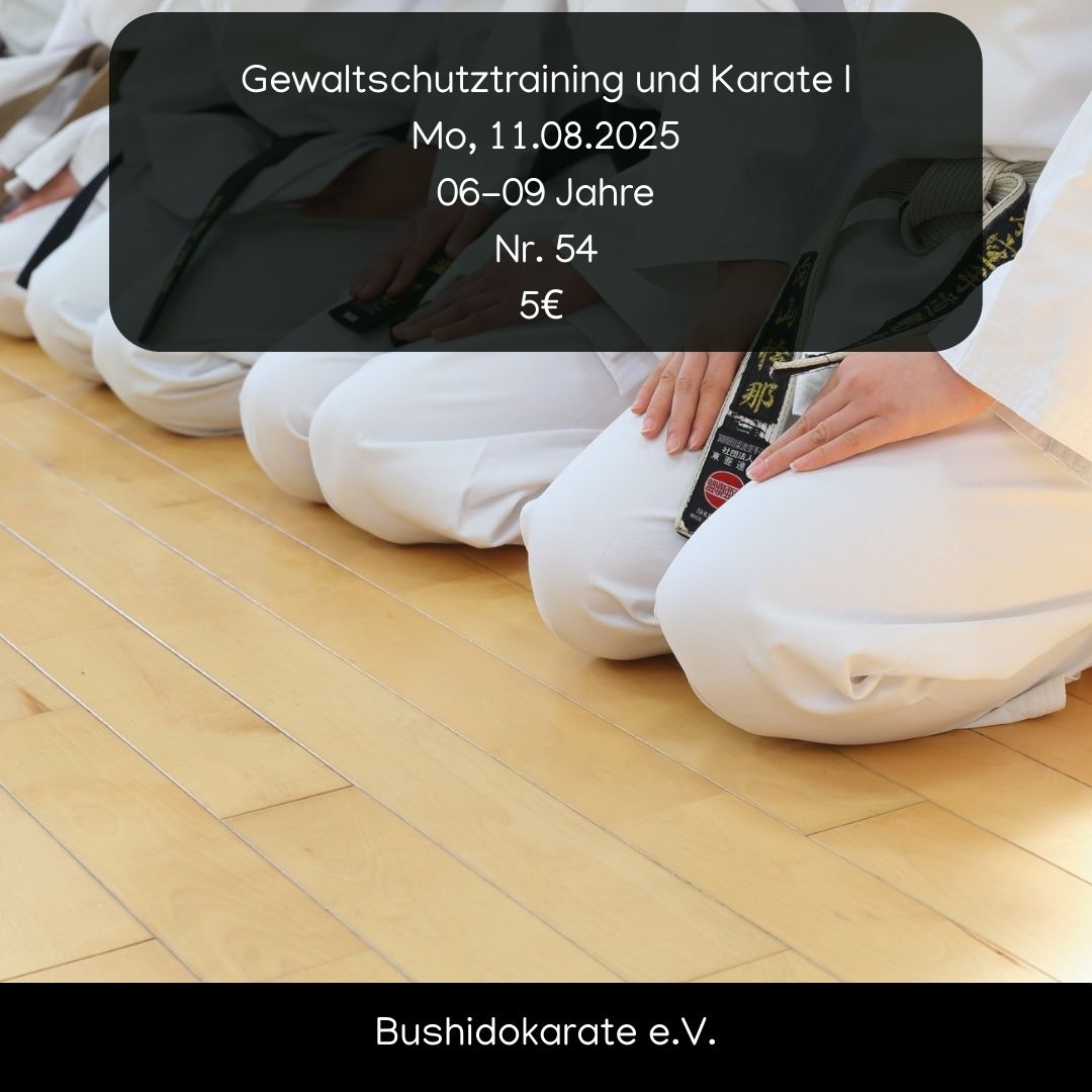 Gewaltschutztraining und Karate I image