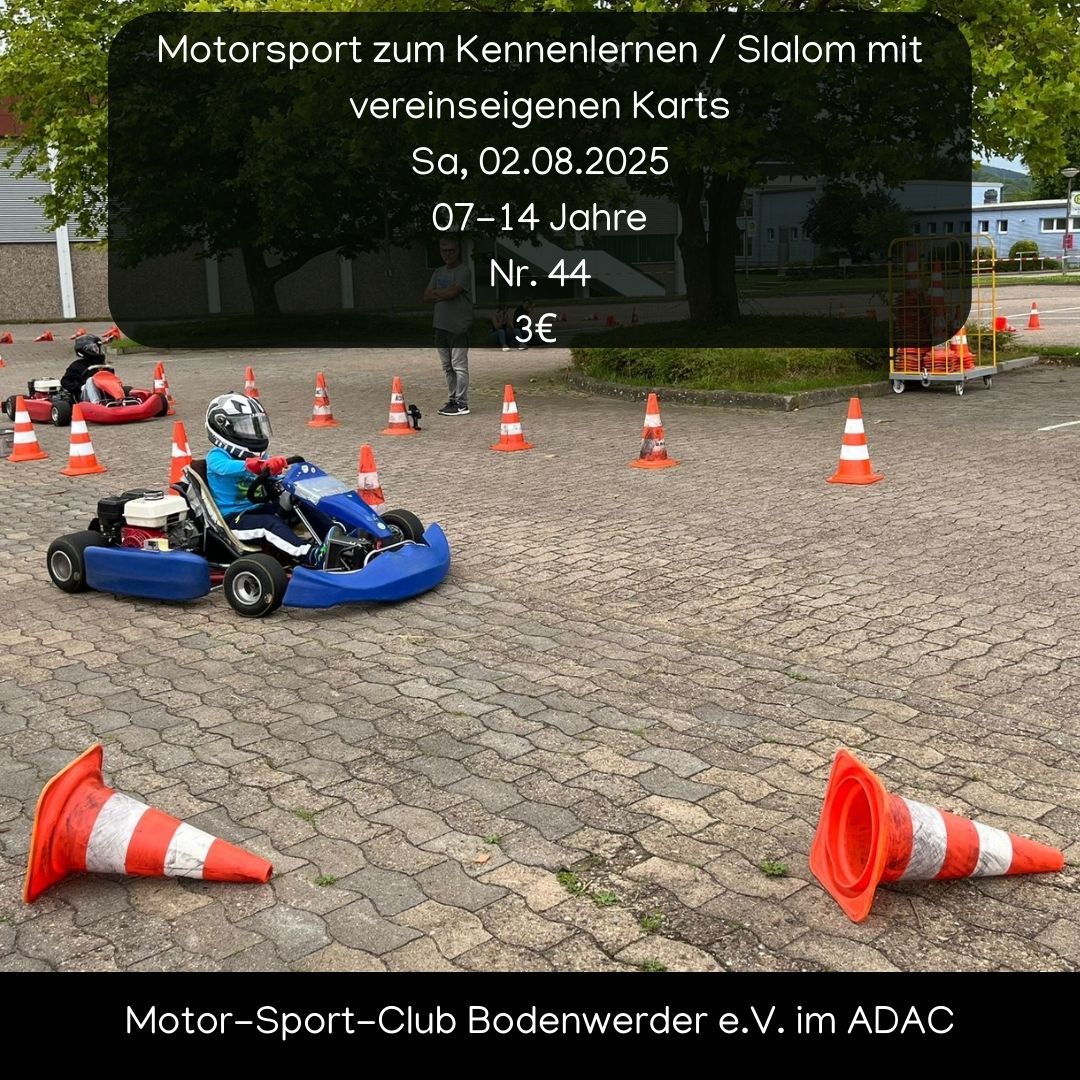 Motorsport zum Kennenlernen / Slalom mit vereinseigenen Karts image