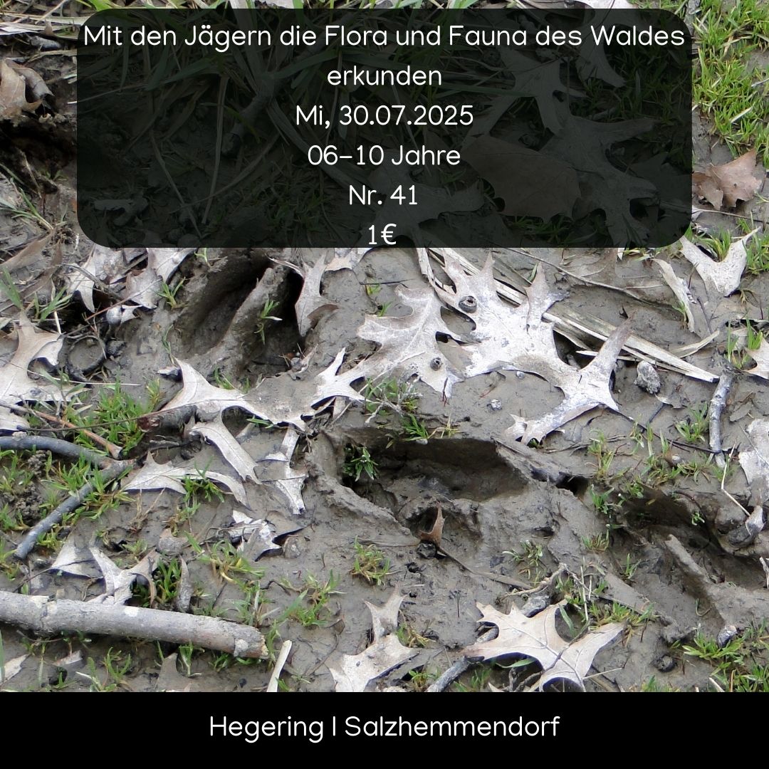 Mit den Jägern die Flora und Fauna des Waldes erkunden image