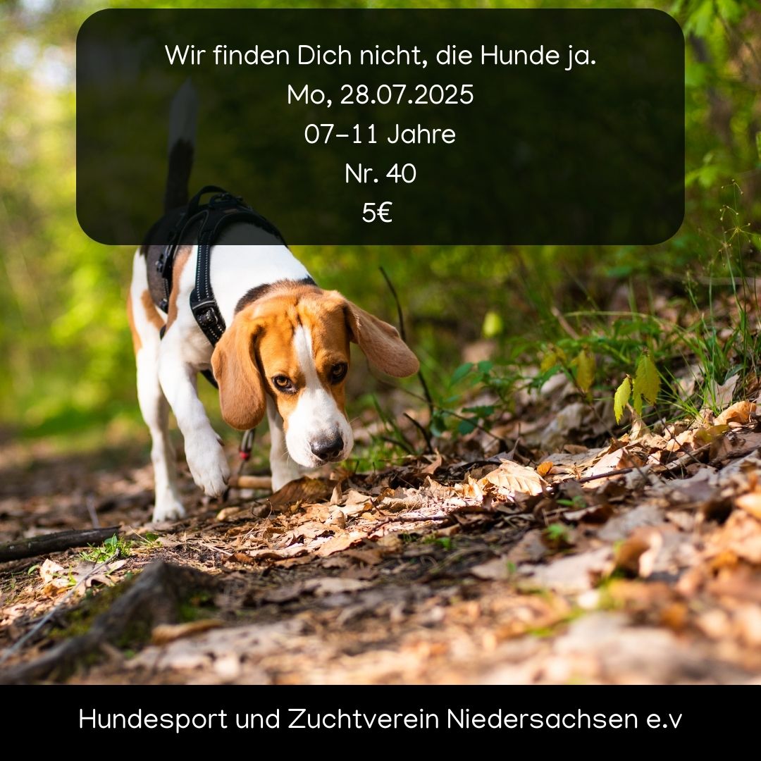 Wir finden Dich nicht, die Hunde ja image