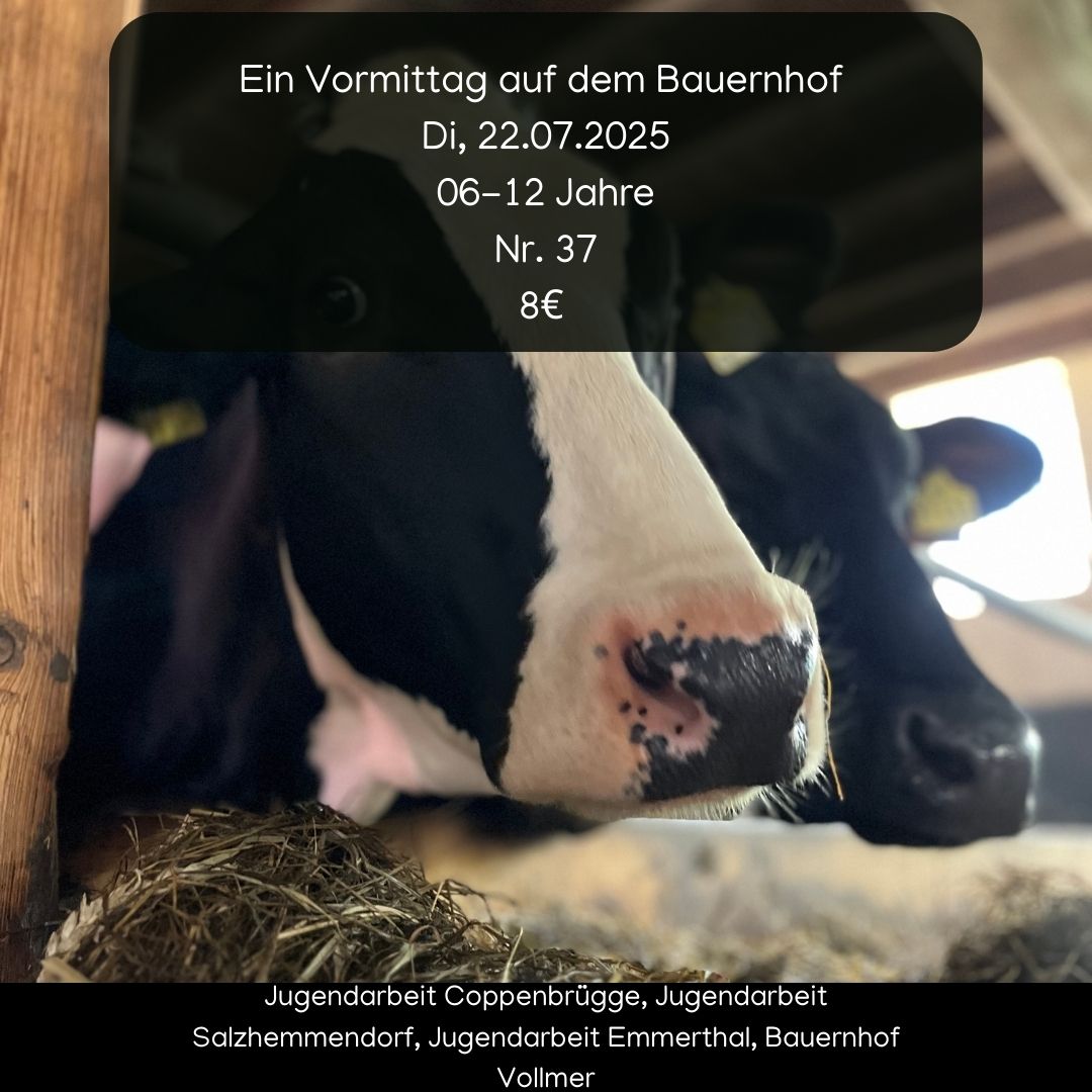 Ein Vormittag auf dem Bauernhof  image