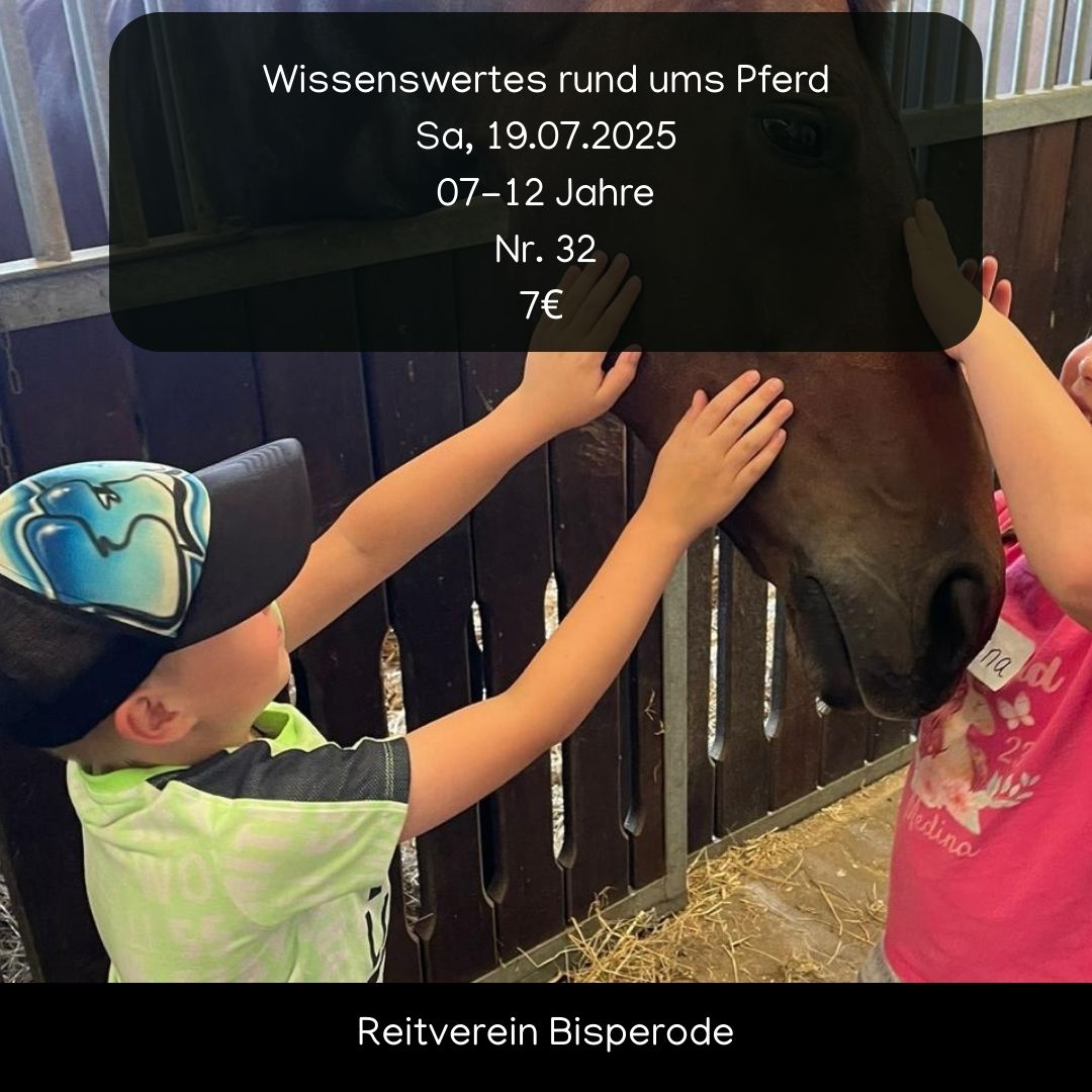 Wissenswertes rund ums Pferd image