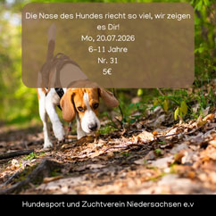 Die Nase des Hundes riecht so viel, wir zeigen es Dir! image