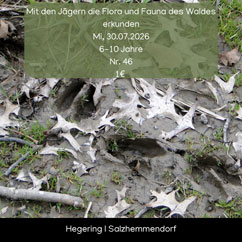 Mit den Jägern die Flora und Fauna des Waldes erkunden image